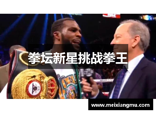 拳坛新星挑战拳王