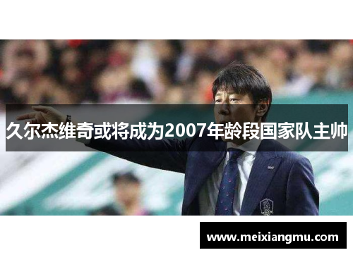久尔杰维奇或将成为2007年龄段国家队主帅