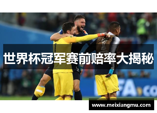 世界杯冠军赛前赔率大揭秘